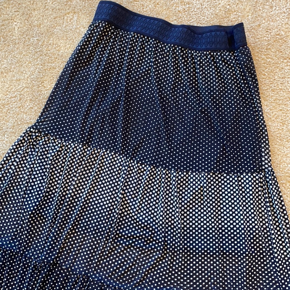 Lavish | Polka Dot Skirt